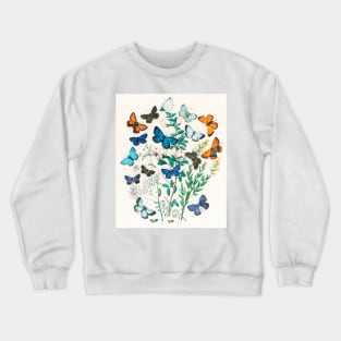 A kaleidoscope of fluttering butterflies and caterpillars (1882) Crewneck Sweatshirt